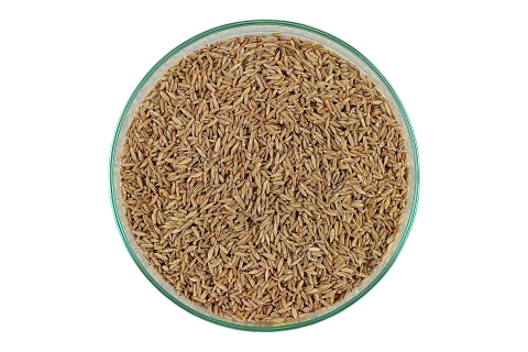 Przyprawa KMIN RZYMSKI CAŁY KUMIN